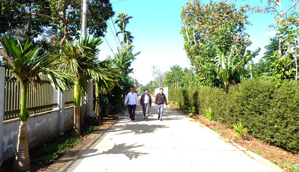 Đường nông thôn mới ở xã Hòa Đông.