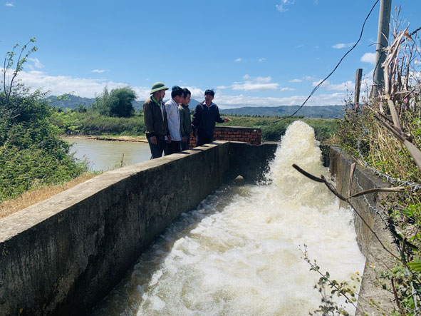 Trạm bơm 144T của HTX Thanh Bình đang bơm nước sông đưa về ruộng giúp bà con chống hạn.