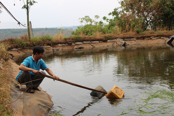 Hồ trữ nước  của gia đình  ông Trần Quang Khải (buôn Ea Kring,  xã Ea Sin). 
