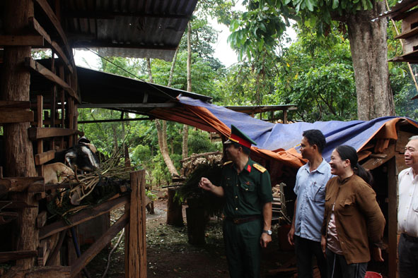 Các đơn vị, địa phương đến thăm, động viên người dân tiếp tục phát triển chăn nuôi. 