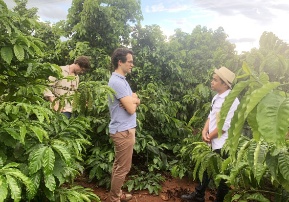 Đoàn chuyên gia của Tổ chức Agriterra làm việc tại HTX Minh Toàn Lợi.