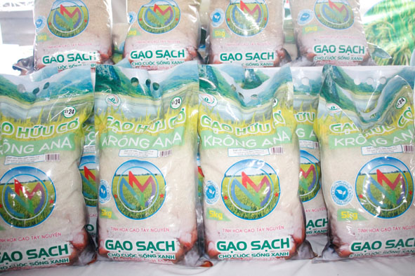 Gạo ST24 của HTX Dịch vụ nông nghiệp Nhật Minh (xã Bình Hòa).